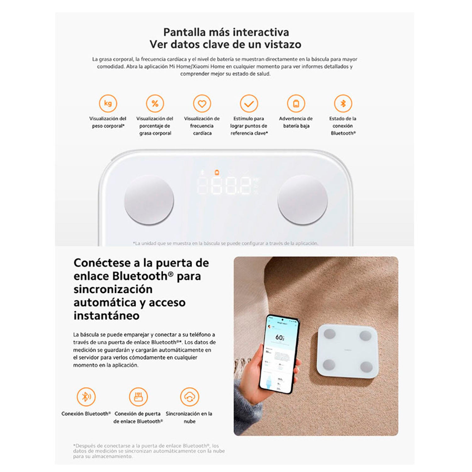 Texto alternativo de imagen